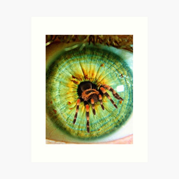Item preview, Tarantula  designed and sold by Maisie Kane.
