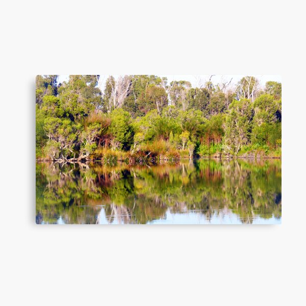 Untitled Canvas Print