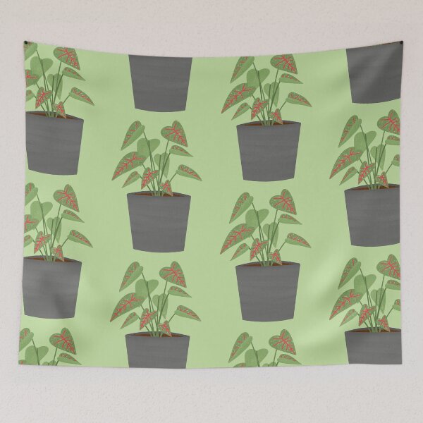 Item preview, Caladium House Plant designed and sold by BluebellPainter.