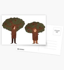 DEH- Tree Bros Postcards