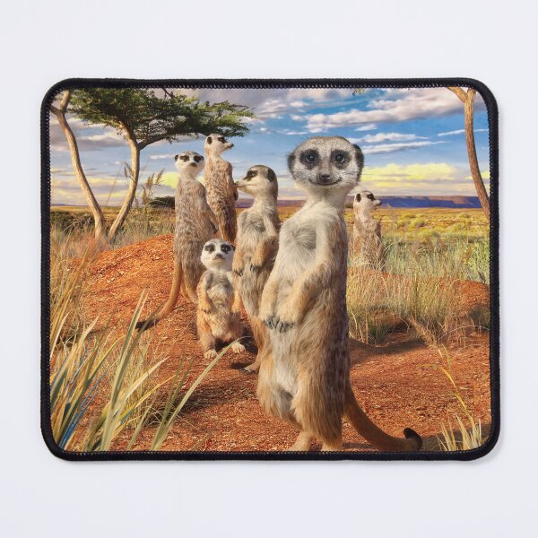 Item preview, Meerkats designed and sold by DavidPenfound.