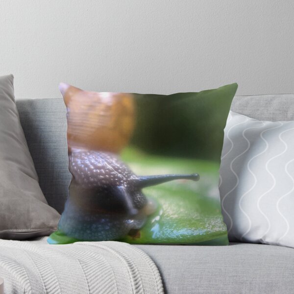 Item preview, Slow Travel designed and sold by Jason Tompkins.