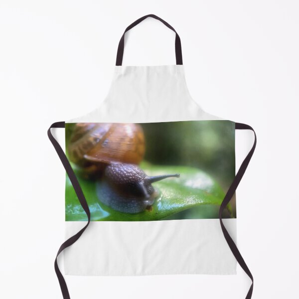 Item preview, Slow Travel designed and sold by Jason Tompkins.