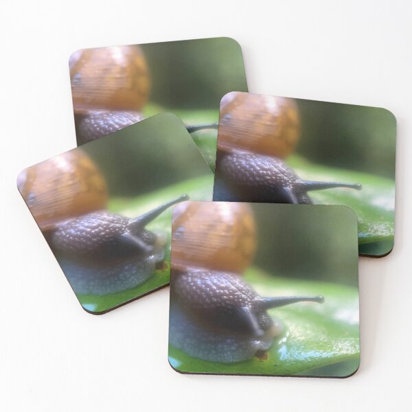 Item preview, Slow Travel designed and sold by Jason Tompkins.