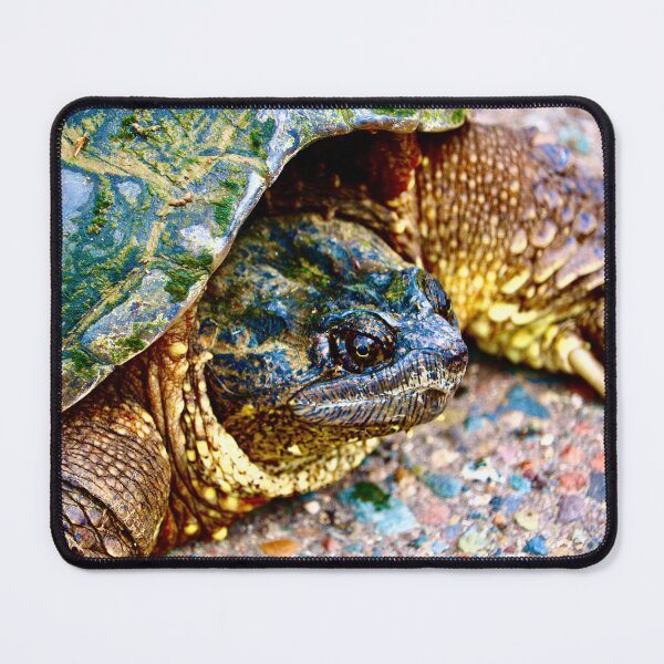 Item preview, An Oldie designed and sold by Jamison-Riedman.