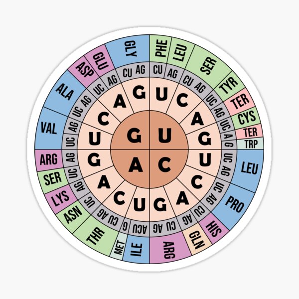 codon-chart-sticker-for-sale-by-gutszilla-redbubble