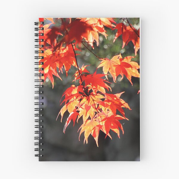 Item preview, Glorious Autumn designed and sold by Carole-Anne.