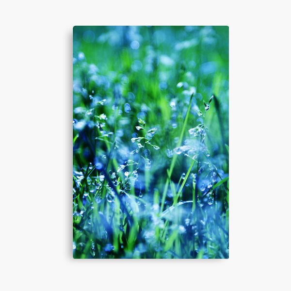 sparkling happiness Canvas Print