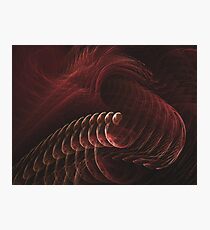 10-05-17-CH11 Photographic Print