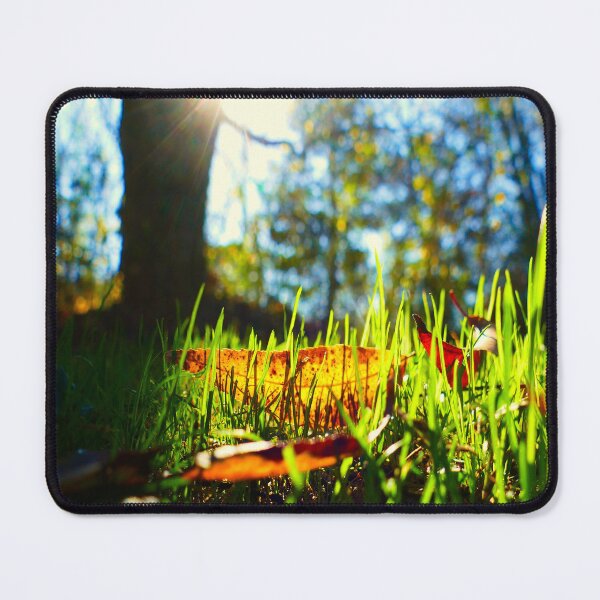 Item preview, Sunny Morning Views designed and sold by VividExhibition.