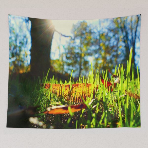 Item preview, Sunny Morning Views designed and sold by VividExhibition.