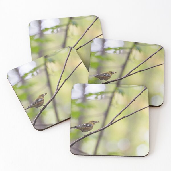 Item preview, Bay breasted warbler with a bug designed and sold by jessicagoodsell.