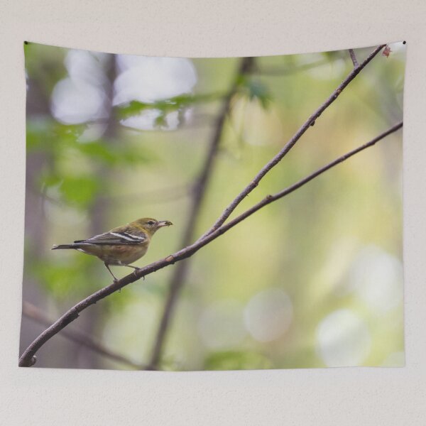 Item preview, Bay breasted warbler with a bug designed and sold by jessicagoodsell.