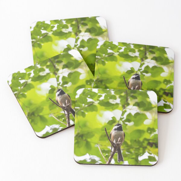 Item preview, Curious Black-capped chickadee in the trees designed and sold by jessicagoodsell.