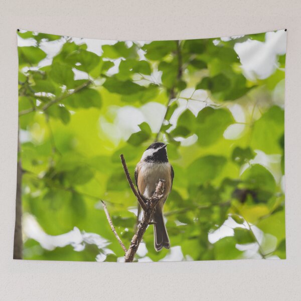 Item preview, Curious Black-capped chickadee in the trees designed and sold by jessicagoodsell.