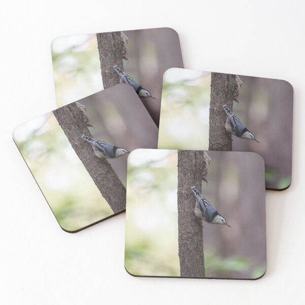 Item preview, White breasted nuthatch, hatching nuts designed and sold by jessicagoodsell.