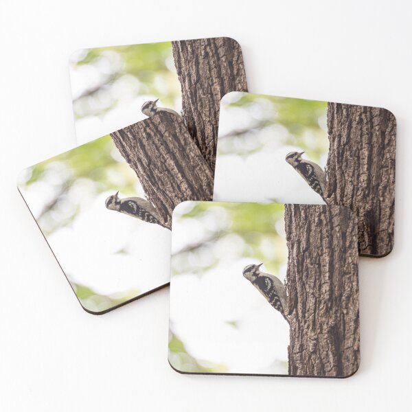 Item preview, Downy woodpecker, pecking wood designed and sold by jessicagoodsell.