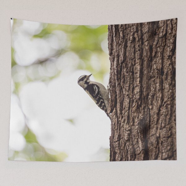 Item preview, Downy woodpecker, pecking wood designed and sold by jessicagoodsell.