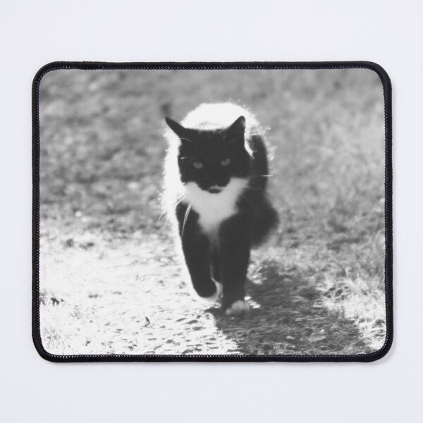 Item preview, black and white cat designed and sold by Francespoppy.