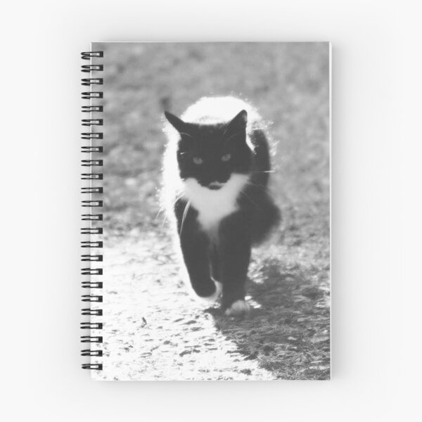 Item preview, black and white cat designed and sold by Francespoppy.