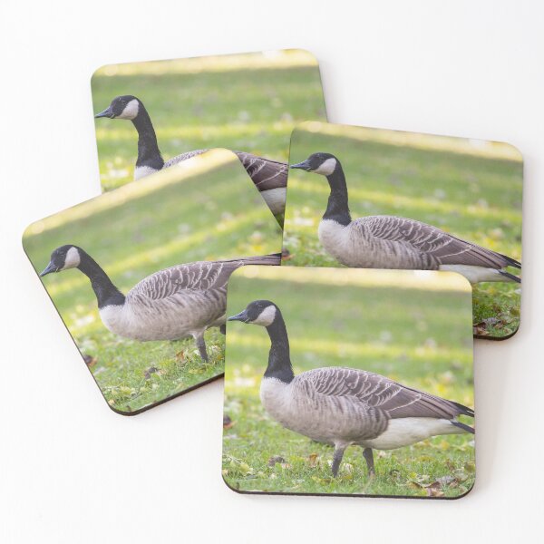 Item preview, Canada Goose, looking threatening, as usual designed and sold by jessicagoodsell.