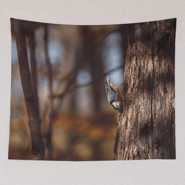 Item preview, Moody picture of White-breasted nuthatch designed and sold by jessicagoodsell.