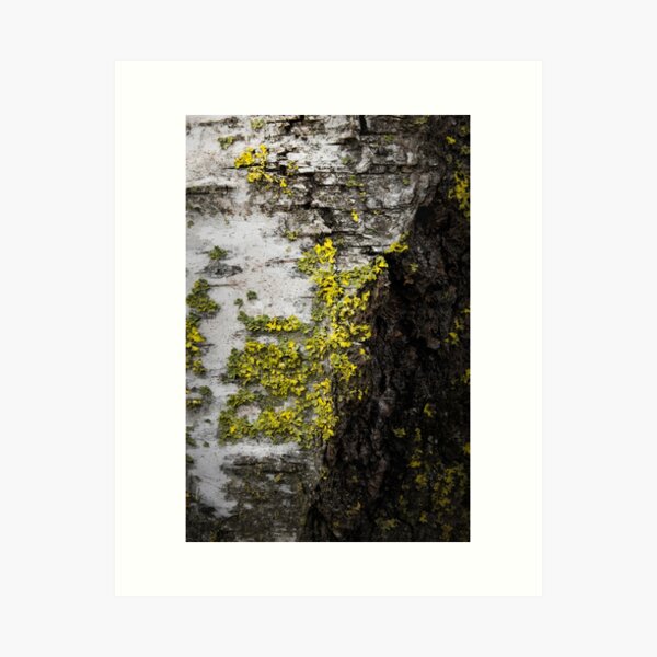 Item preview, Mossy and Greeny designed and sold by NatalieTarson.