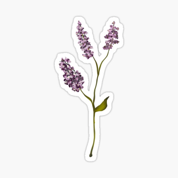 Lilac Sticker