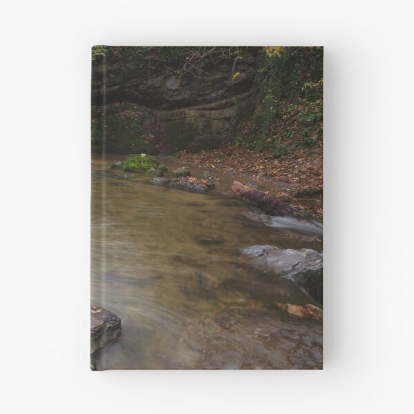 Item preview, Janets foss designed and sold by Nick Atkin.