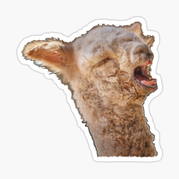 Hello World! Sticker