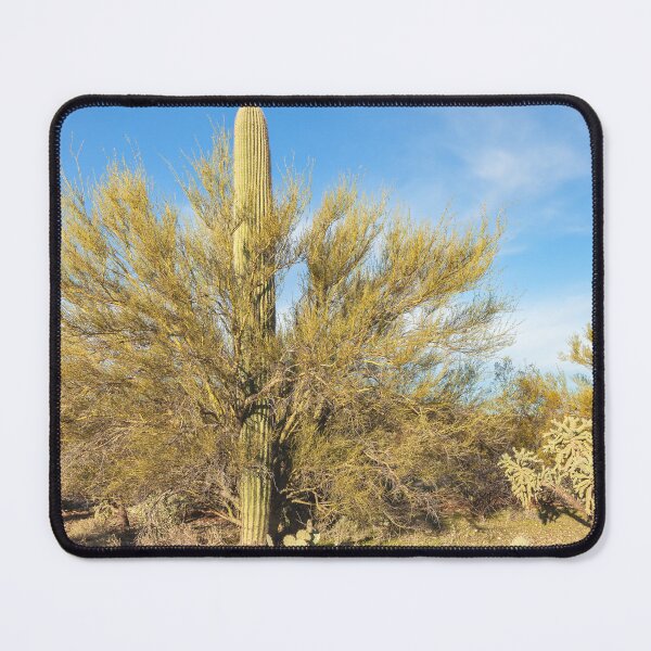 Item preview, Saguaro and Tree designed and sold by jvnimages.
