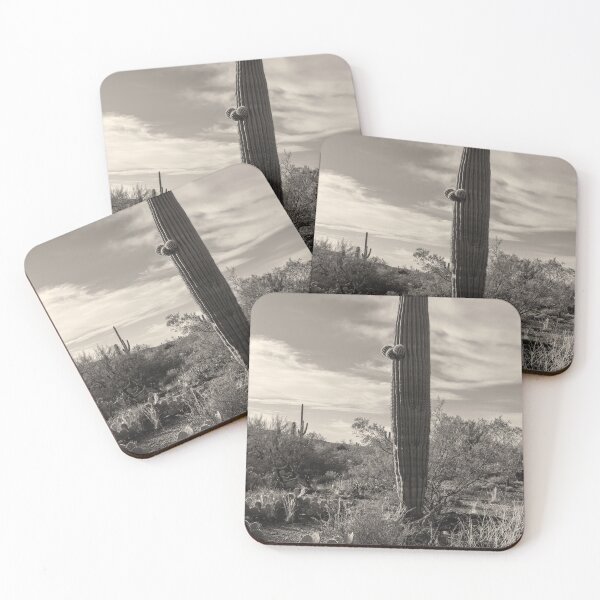 Item preview, Saguaro Stands  designed and sold by jvnimages.