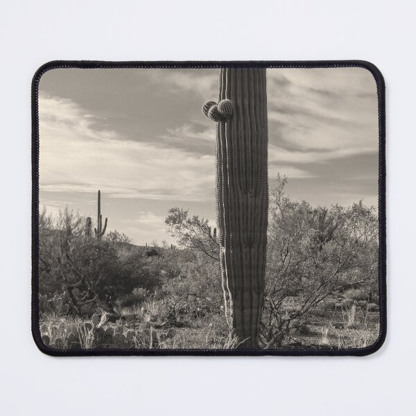 Item preview, Saguaro Stands  designed and sold by jvnimages.