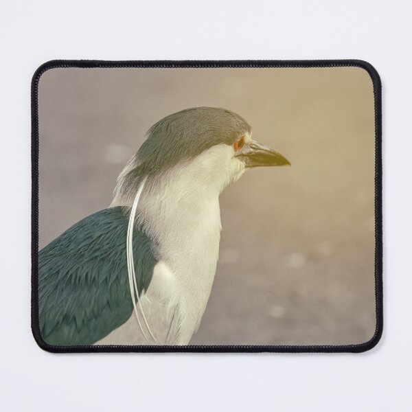 Item preview, Black-Crowned Heron designed and sold by jvnimages.