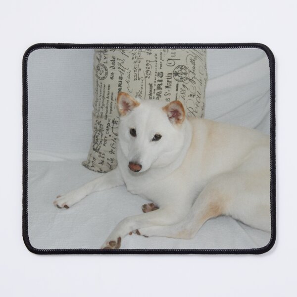 Item preview, Shiba Inu -- Yuki designed and sold by zwrr16.