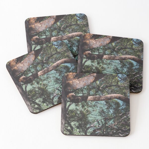 Item preview, Pacific Ocean viewed through brush on a bushwalking designed and sold by jessicagoodsell.