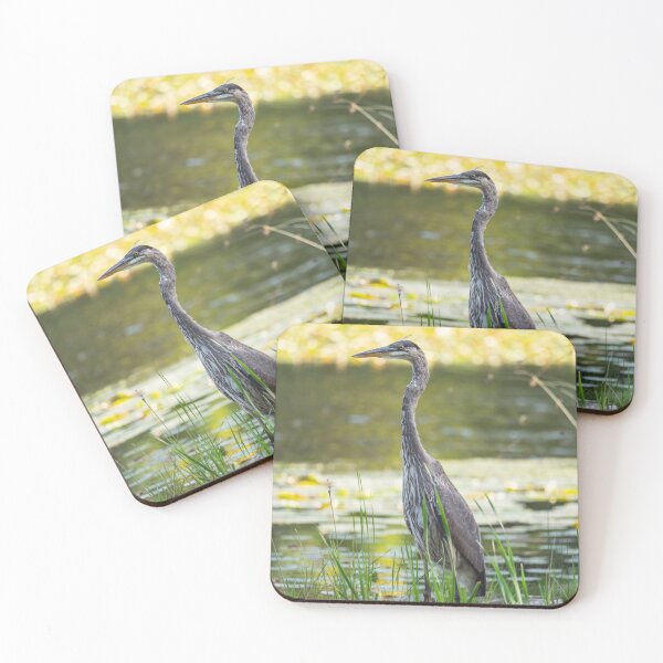 Item preview, Great Blue Heron in a pond designed and sold by jessicagoodsell.