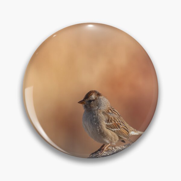 Item preview, Little Sparrow designed and sold by jvnimages.