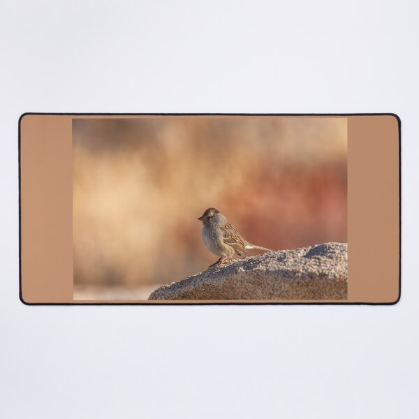 Item preview, Little Sparrow designed and sold by jvnimages.