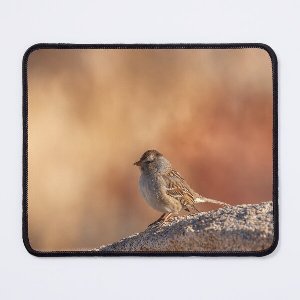 Item preview, Little Sparrow designed and sold by jvnimages.
