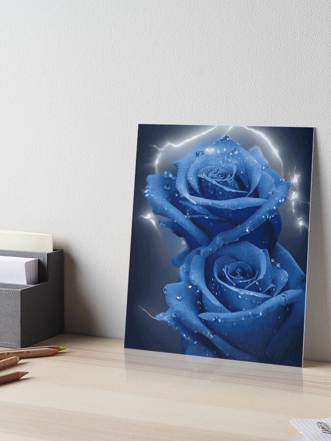 Blue Rose, Beautiful Painting