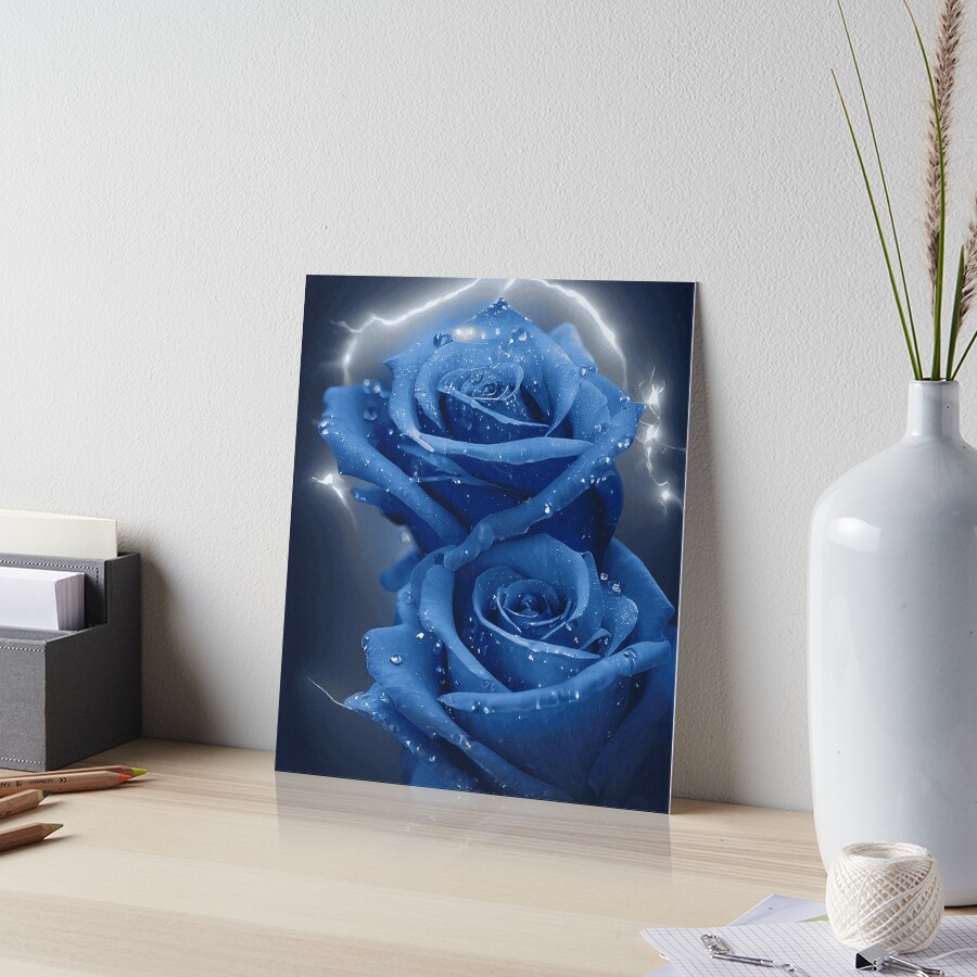 Blue Rose, Beautiful Painting