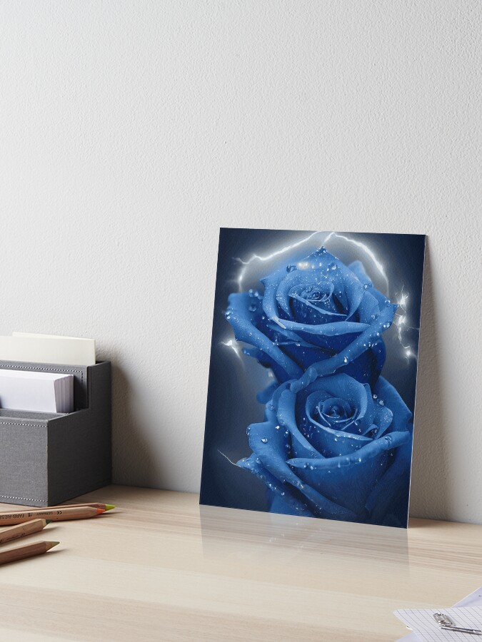 Beautiful Painting Of A Rose - Art Prints