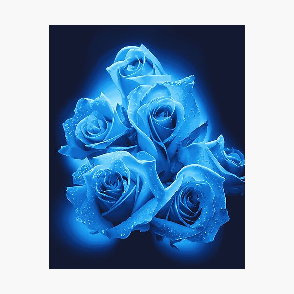 Lámina fotográfica «Rosas azules» de edwardecho | Redbubble