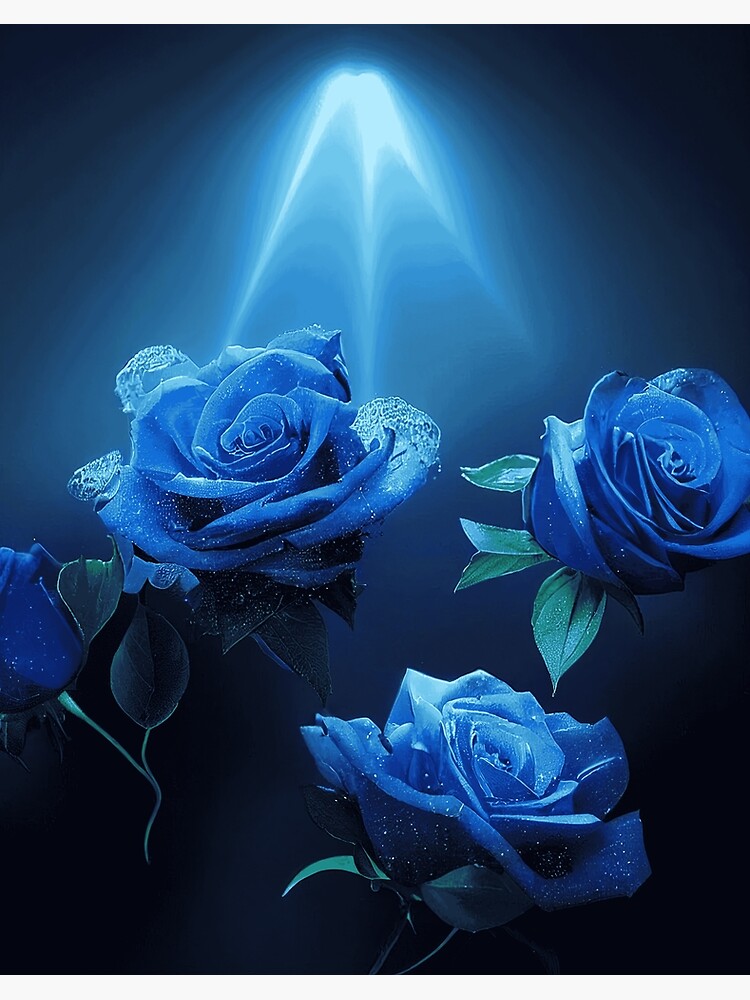 beauty of blue rose