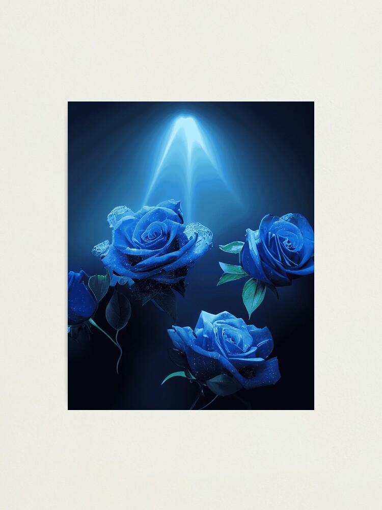 Beautiful Painting Of A Rose - Art Prints