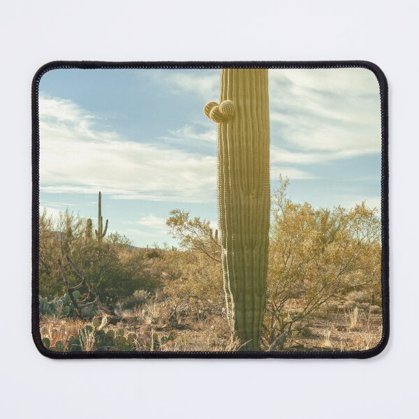 Item preview, Saguaro Stands designed and sold by jvnimages.