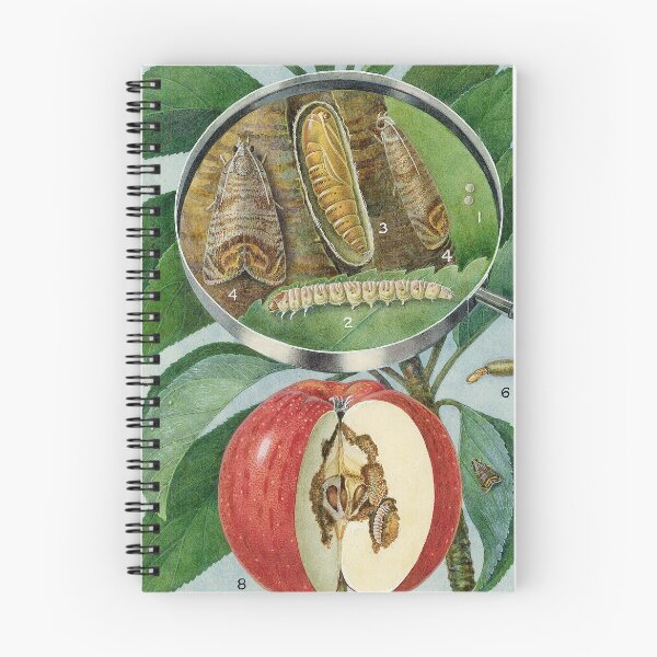 Item preview, Codling Moth designed and sold by BiosecurityColl.