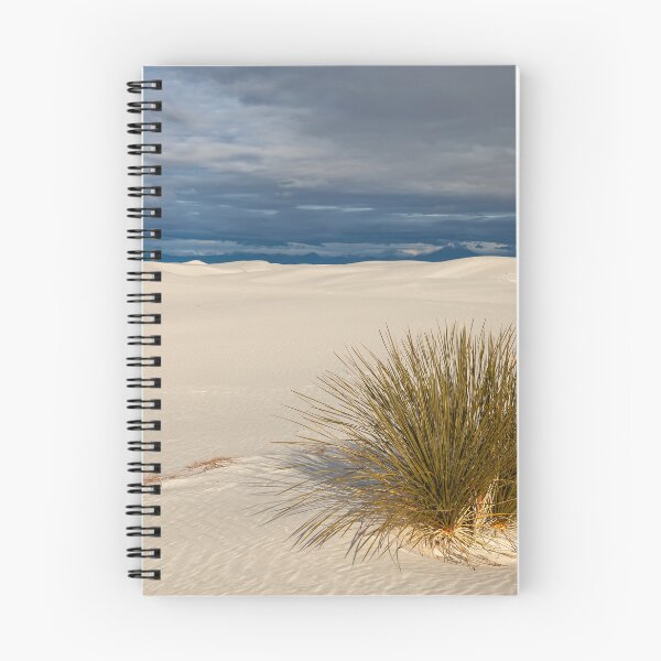 Item preview, Lone Yucca designed and sold by jvnimages.