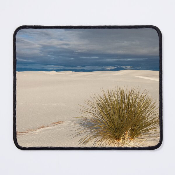 Item preview, Lone Yucca designed and sold by jvnimages.